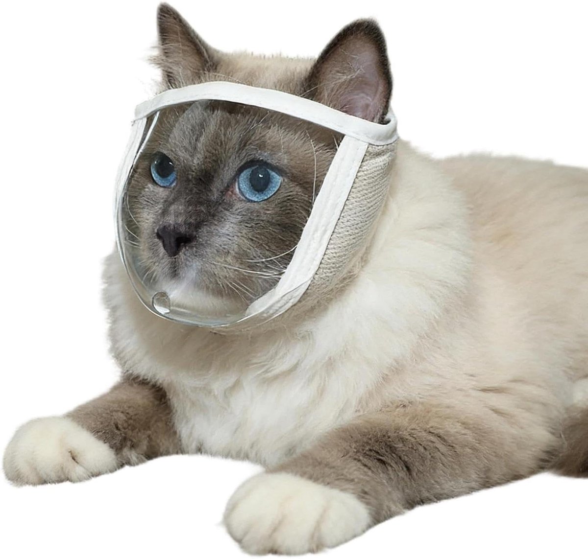 Kalmerende Kattenkap - Hoofdbedekking Huisdier - Veilige Verzorging - Ademend Zichtontwerp - Maat M - Transparant