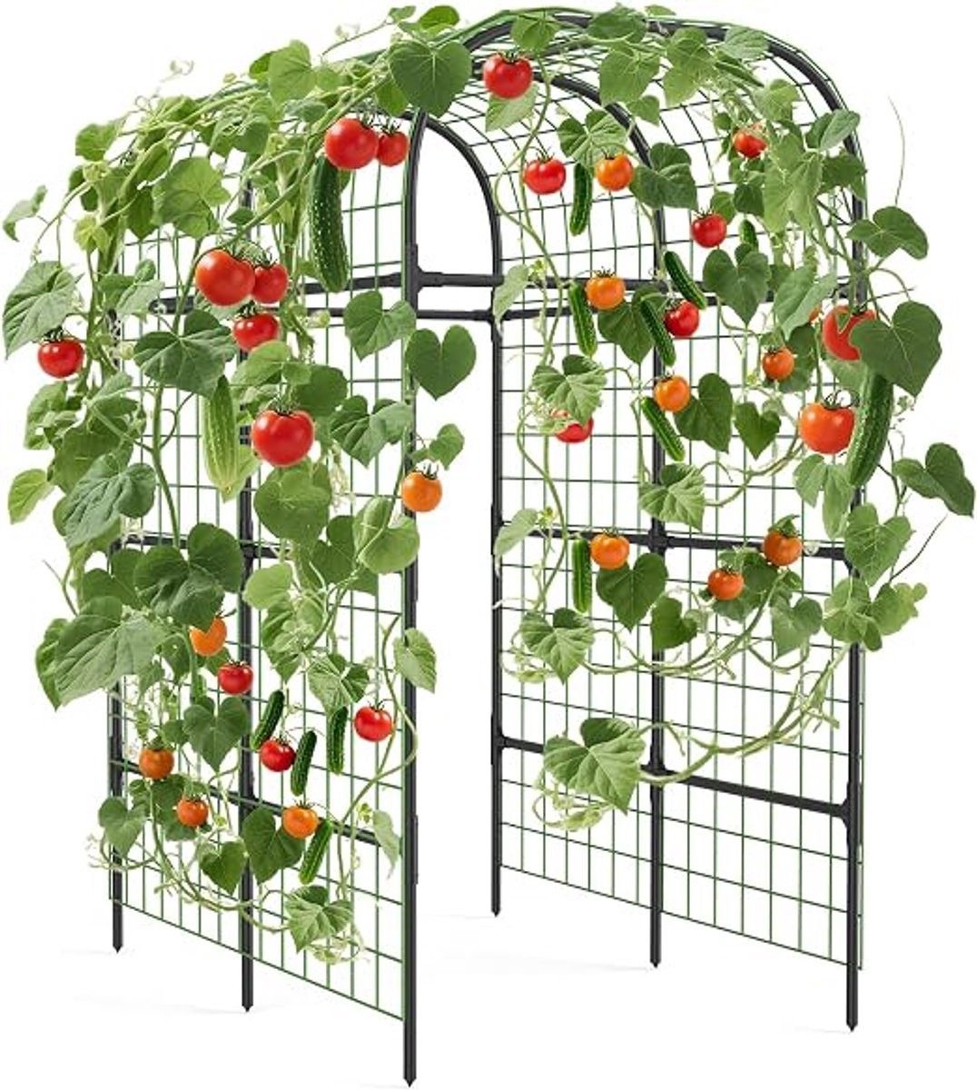 Danky zwarte boog klimrek PE+metaal met PE-net en kunststof verbindingen, tuin steun voor klimplanten