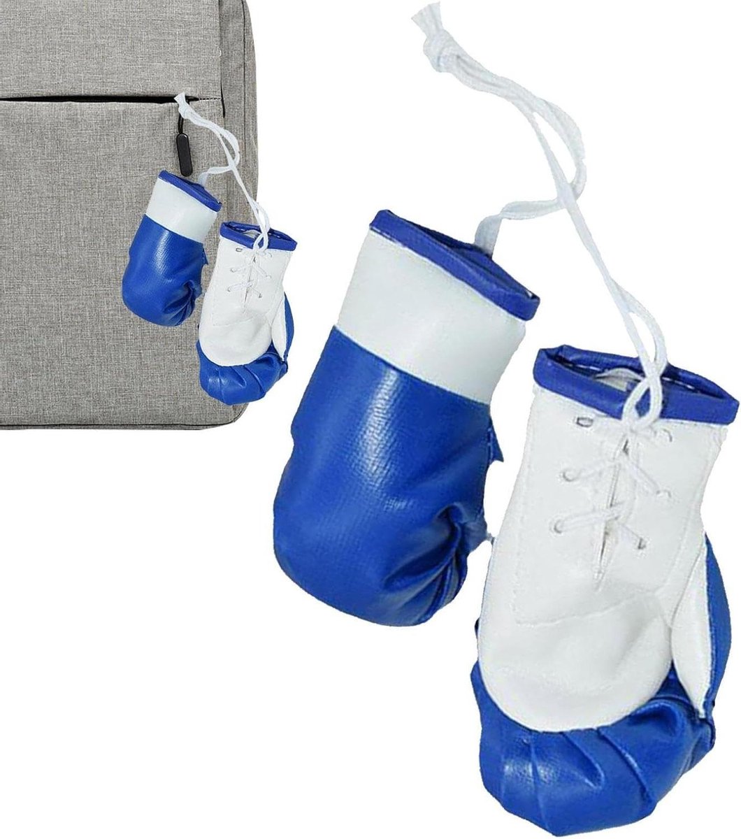 Mini Bokshandschoenen - Auto Decoratie - Auto Opknappen - Realistisch Uiterlijk - 10x6cm - Blauw en Wit