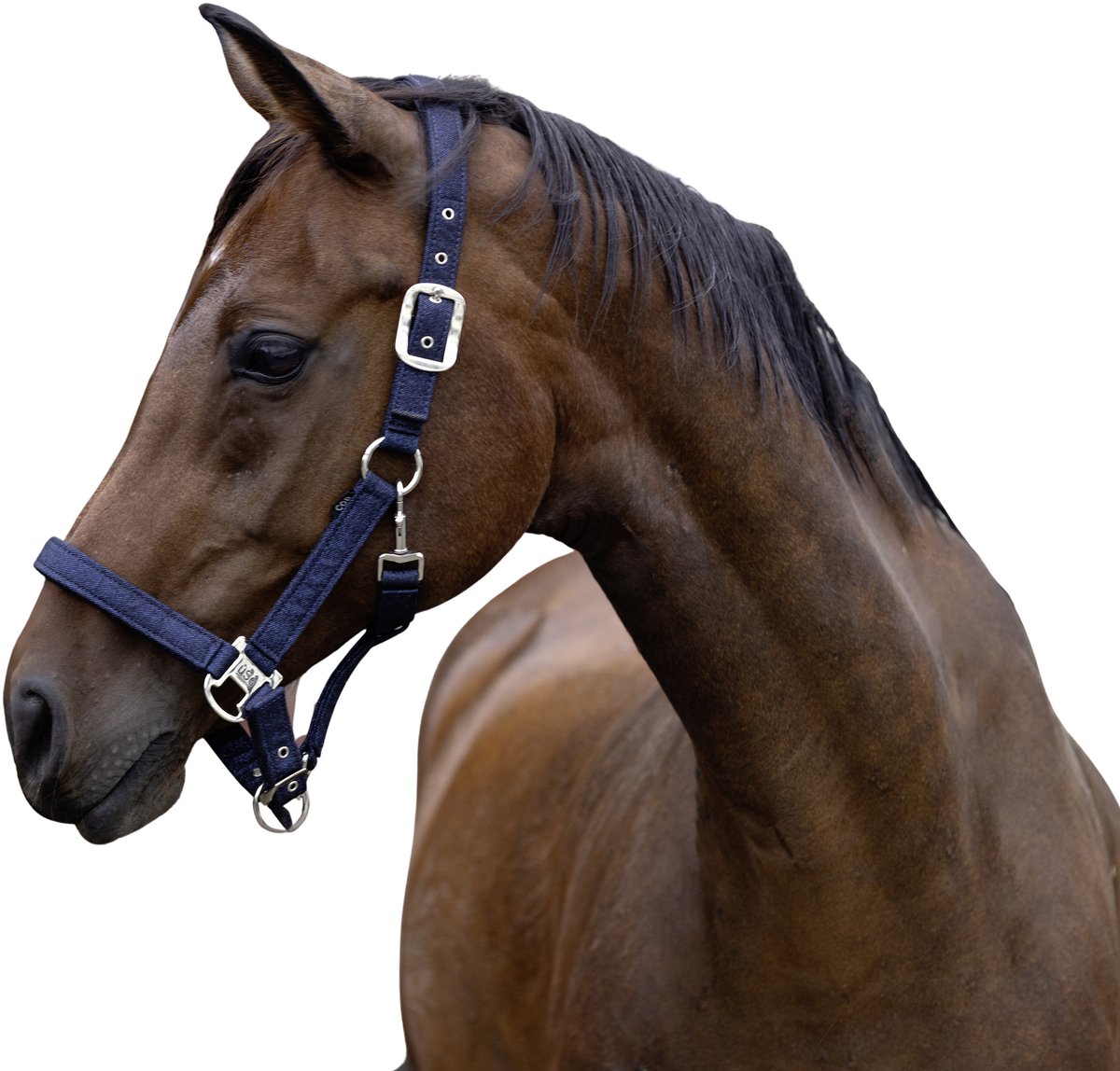 Halster voor paarden Onyx Onyx