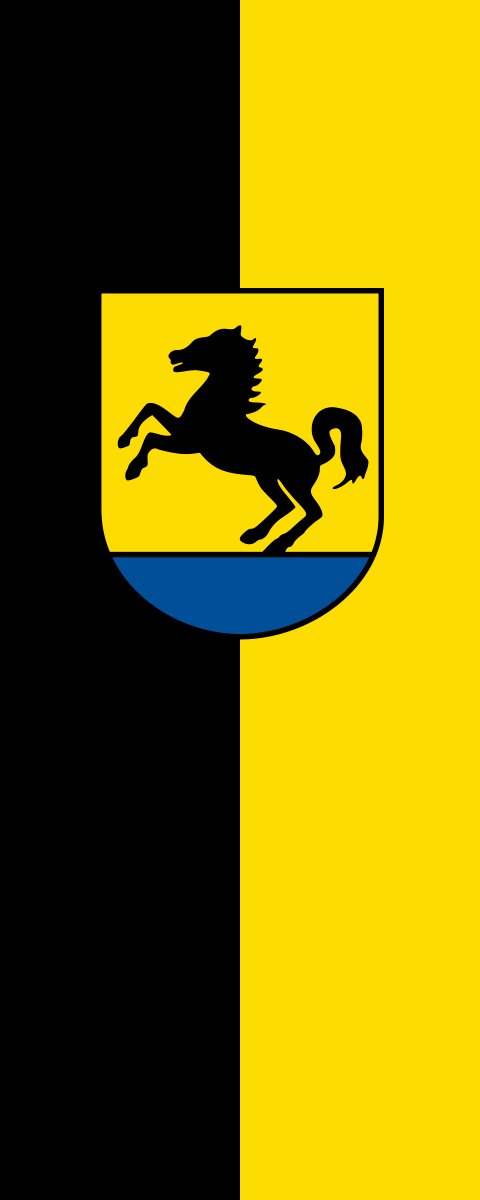 Vlag Bad Rappenau 200x300cm