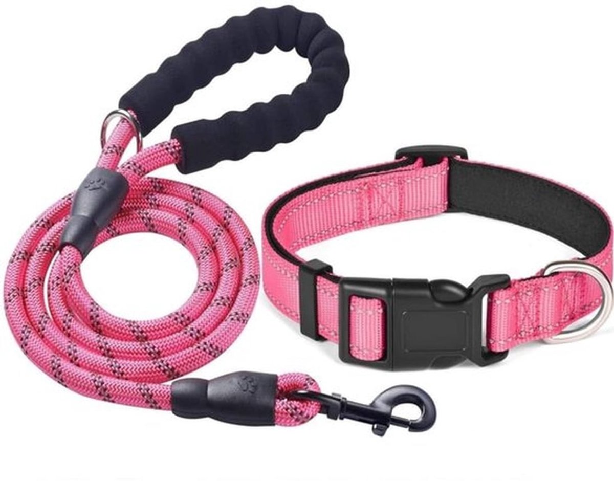 Hondenhalsband Reflecterend - Verstelbare Hondenriem - Duurzaam Nylon - Voor Middelgrote/Grote Honden - 1,0 cm Diameter - Comfortabel en Veilig - Hondentuig