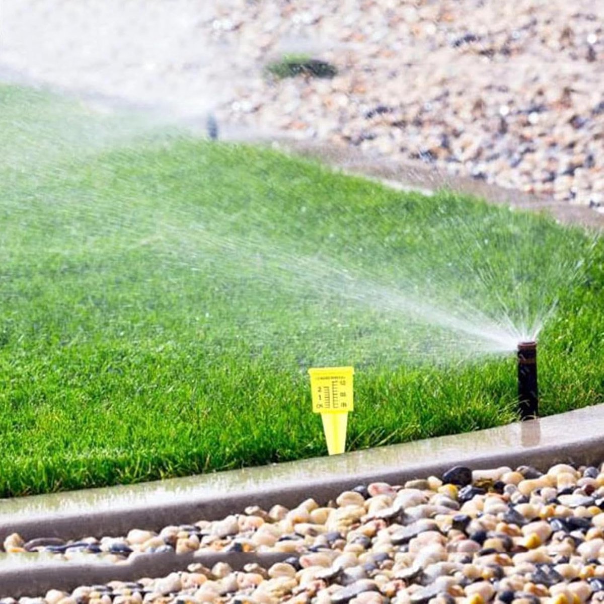 Regenmeter - Meetinstrument Tuin - Waterhoeveelheid Meten - Brede Opvangbeker - 5 stuks - Geel
