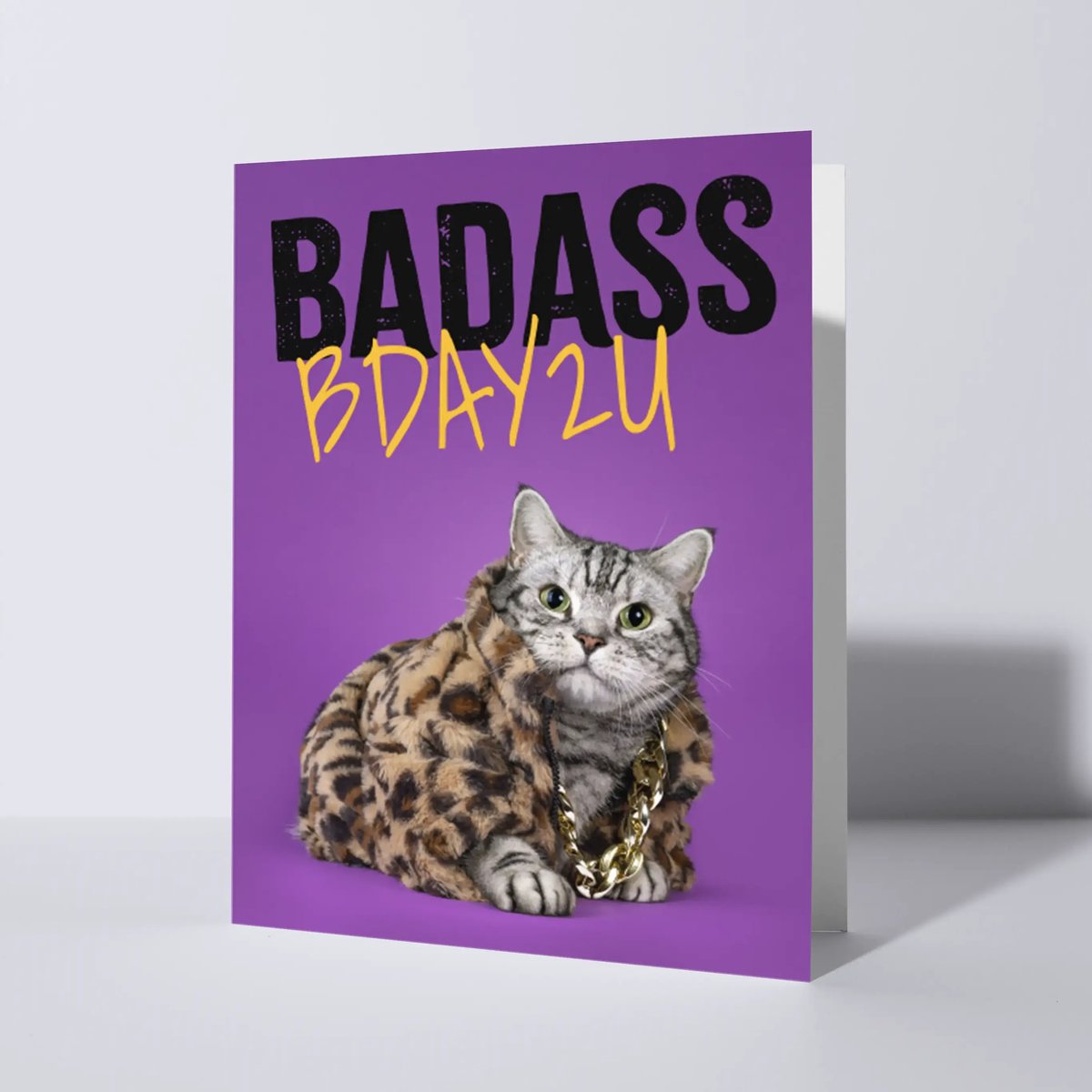 CAT'CHY Cards - wenskaart - verjaardag - kat - brits korthaar