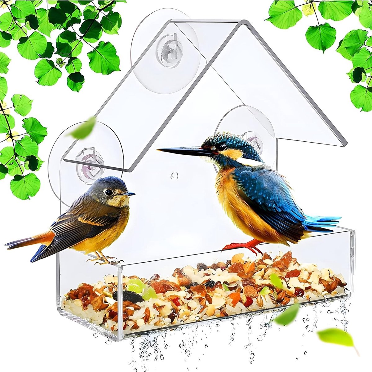 Transparante Voederhuis voor Vogels met Zuignappen, Ideaal voor Tuin en Balkon, 15 x 15 x 6 cm