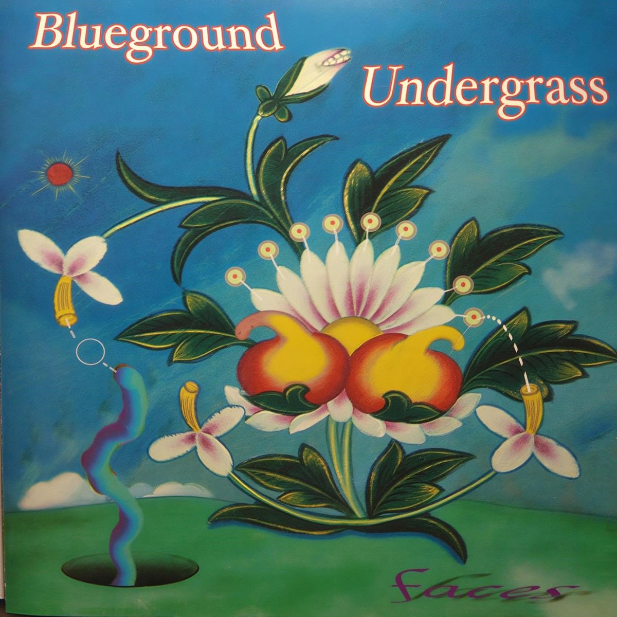 Blueground Undergrass - Faces (CD)