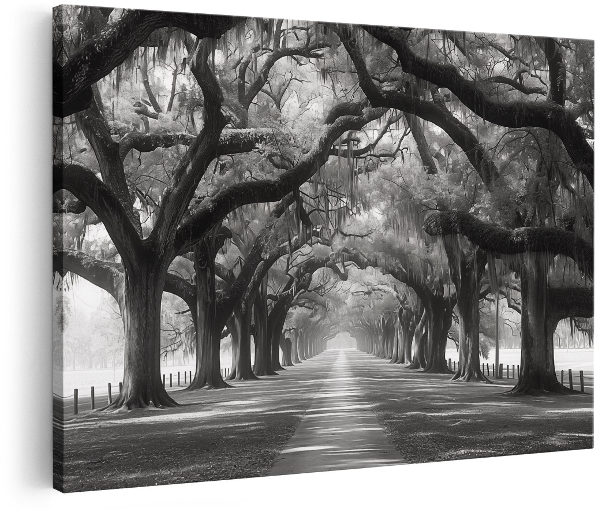 Artaza Canvas Schilderij Zwart Wit Beeld van een Pad met Bomen - 150x100 cm - Groot - Wanddecoratie Woonkamer - Schilderijen - Muurdecoratie