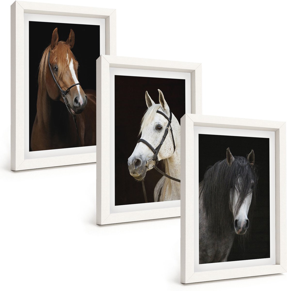 Wallfluent 3-Delige Schilderij Set - Portretten Van Paarden In Verschillende Vachtkleuren - 20 x 30 - Muurdecoratie - Wanddecoratie - Hal - Stijlvolle Muurdecoratie