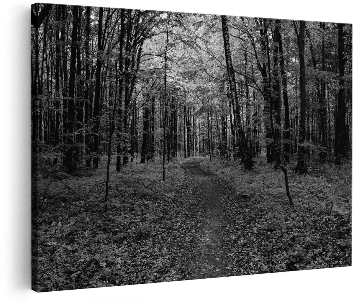 Artaza Canvas Schilderij Voetpad in Groen Bos - Zwart Wit - 180x120 cm - Groot - Foto Op Canvas - Wanddecoratie Woonkamer