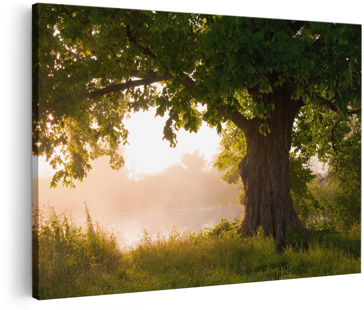 Artaza Canvas Schilderij Eikenboom Aan Het Water Met Volle Bladeren - 180x120 cm - Groot - Foto Op Canvas - Wanddecoratie Woonkamer