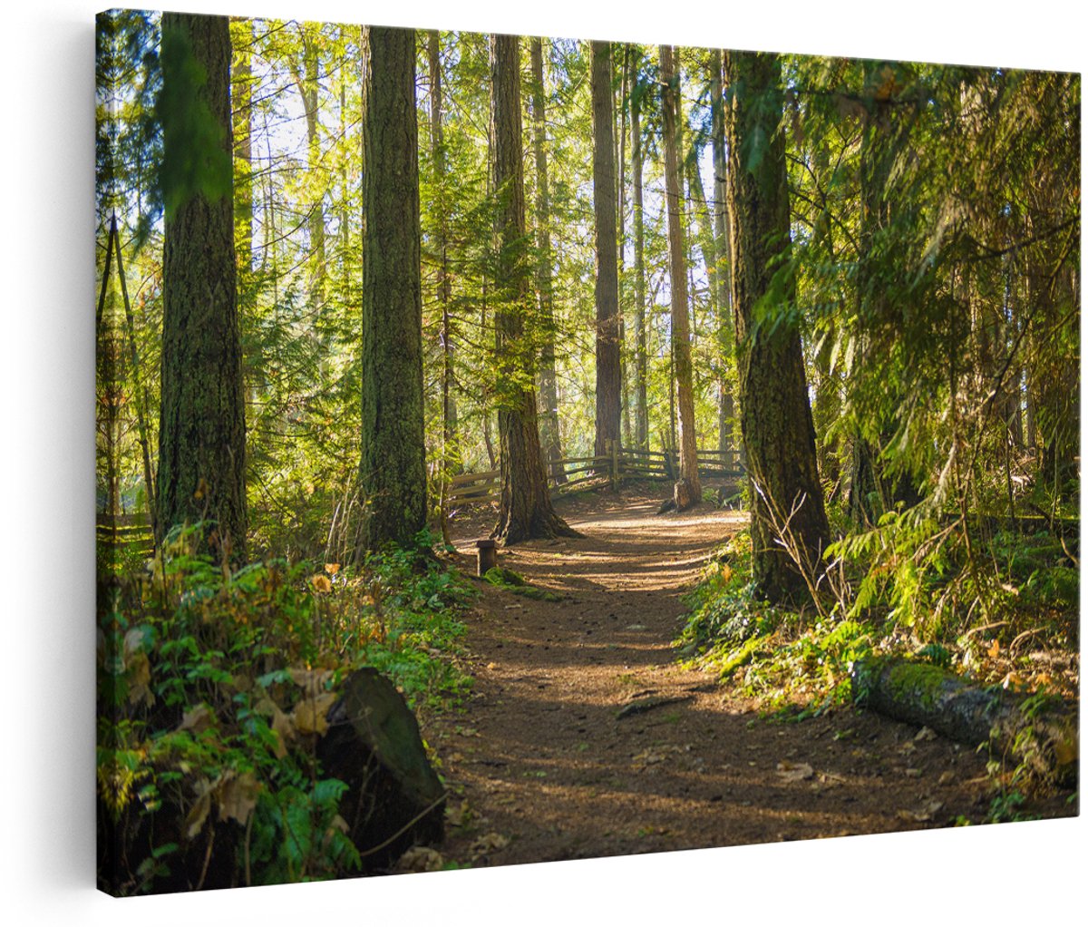 Artaza Canvas Schilderij Voetpad in het Bos - 180x120 cm - Groot - Foto Op Canvas - Wanddecoratie Woonkamer