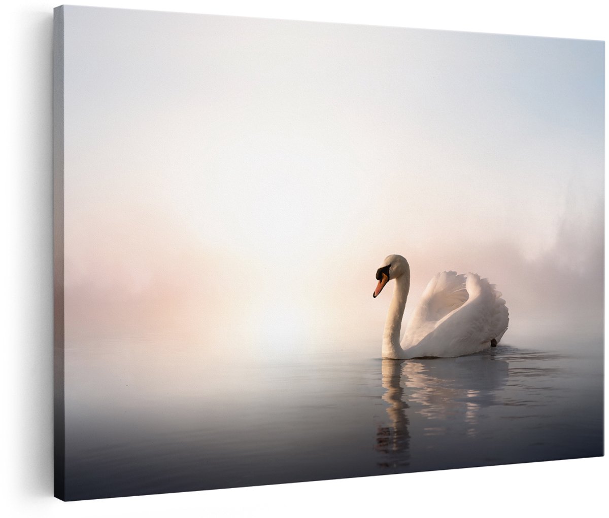 Artaza Canvas Schilderij Zwaan in het Water tijdens de Mist - 180x120 cm - Groot - Foto Op Canvas - Wanddecoratie Woonkamer