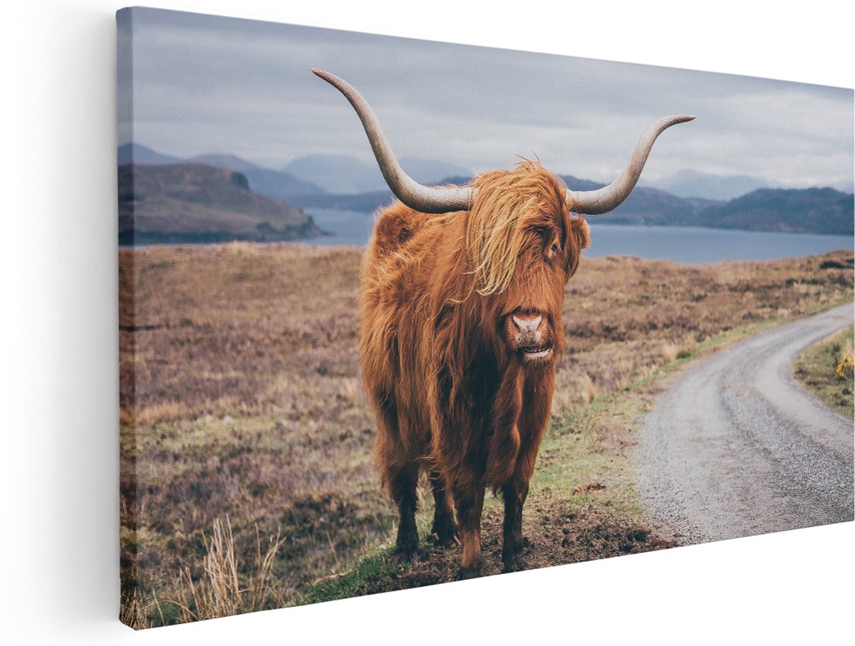 Artaza Canvas Schilderij Schotse Hooglander Koe Op De Weg - 180x90 cm - Groot - Wanddecoratie Woonkamer - Schilderijen - Muurdecoratie
