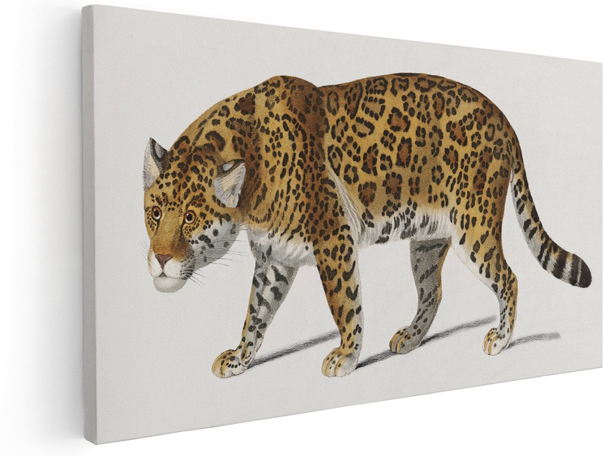Artaza Canvas Schilderij Panter - 180x90 cm - Groot - Wanddecoratie Vintage Dieren - Muurdecoratie Jaguar - Decoratie Luipaard - Kamer Accessoires