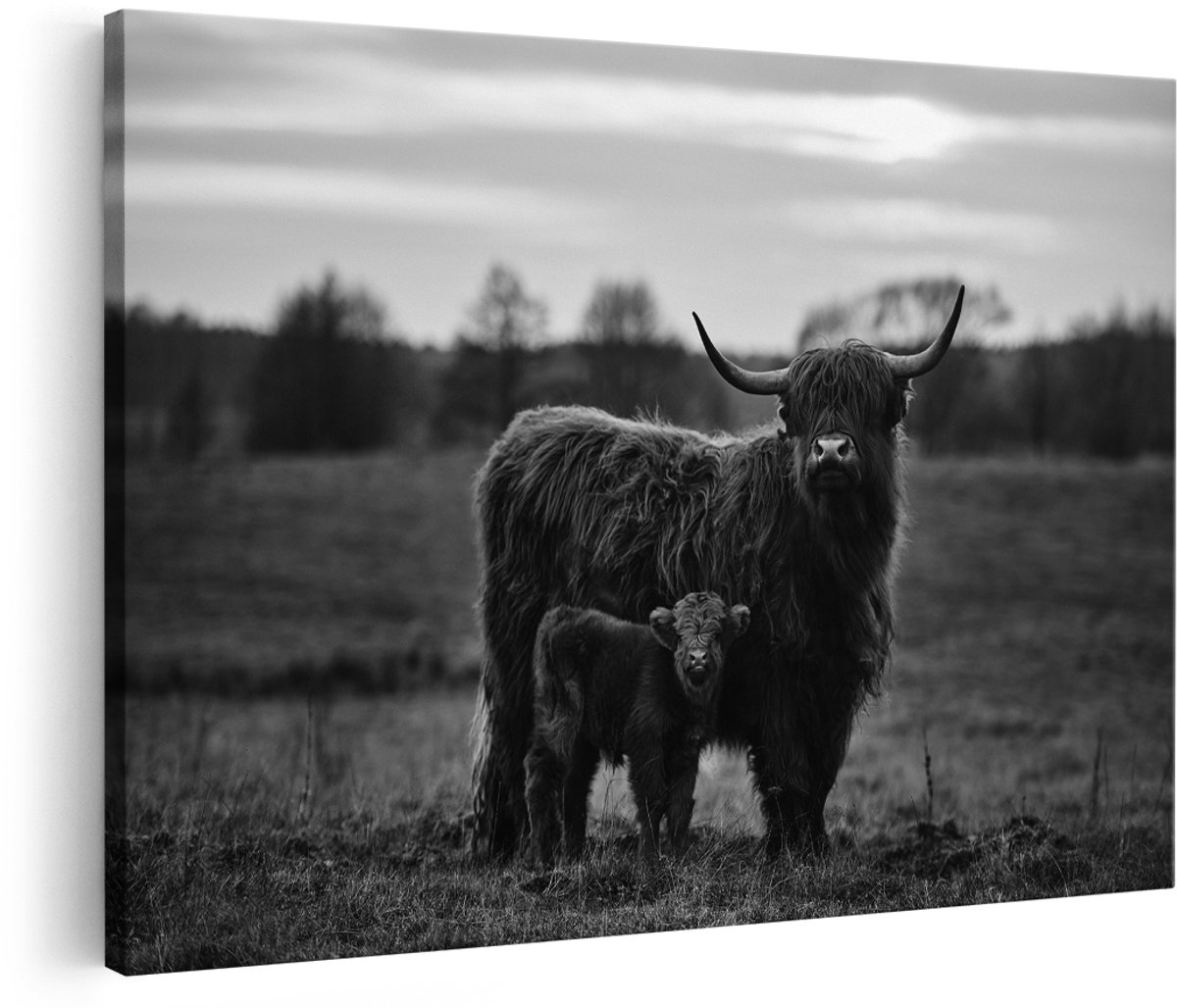 Artaza Canvas Schilderij Schotse Hooglander Koe met haar Kalf - Zwart Wit - 180x120 cm - Groot - Foto Op Canvas - Wanddecoratie