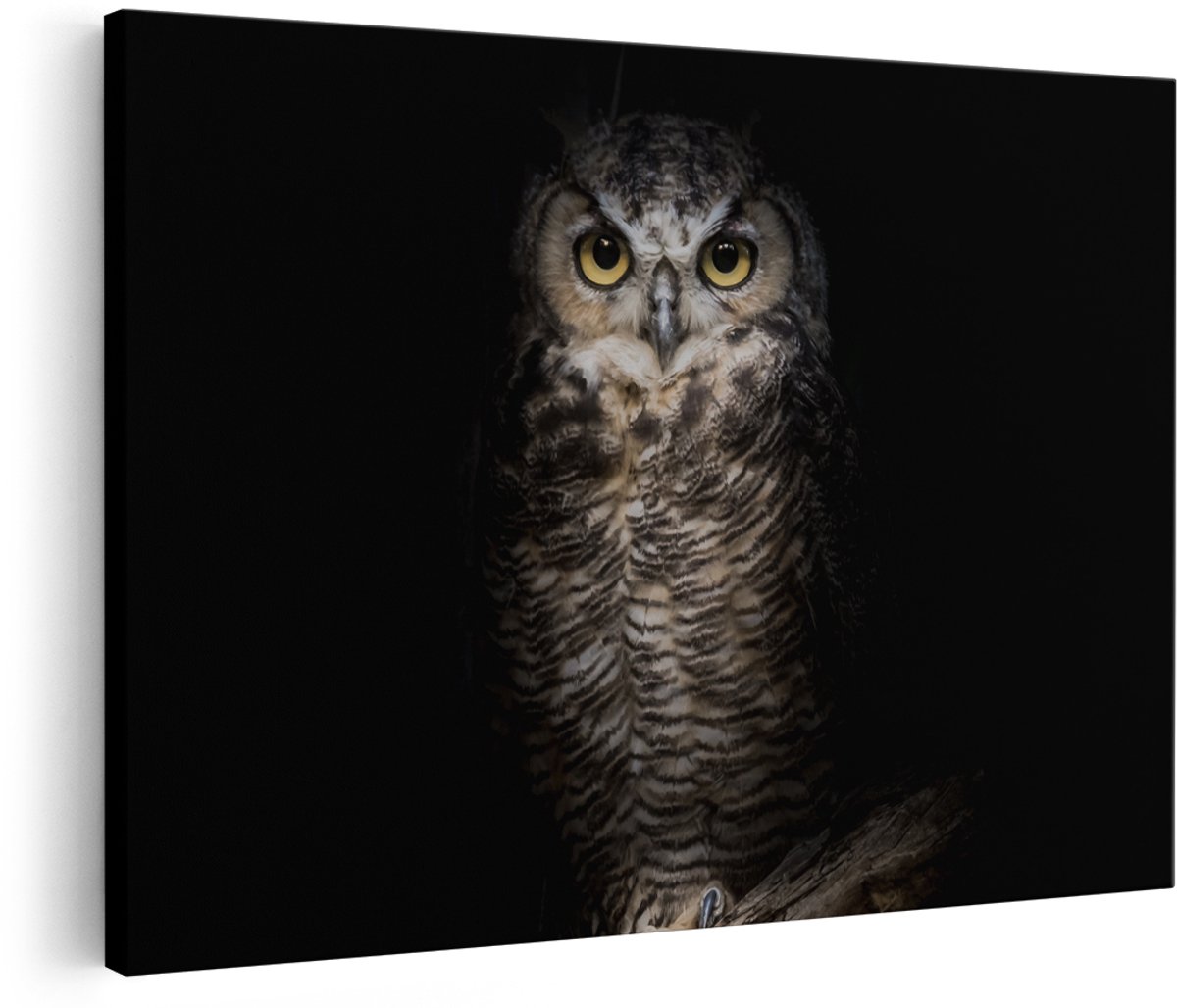 Artaza Canvas Schilderij Uil Op Een Tak In De Nacht - 180x120 cm - Groot - Foto Op Canvas - Wanddecoratie Woonkamer