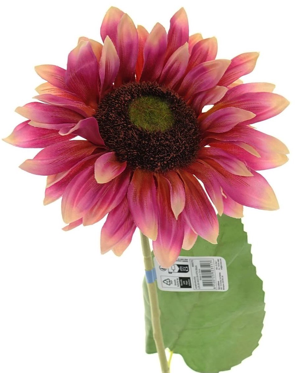 Everlands Zonnebloem Harlekijn Roze & Crème Ø 16 cm 74 cm