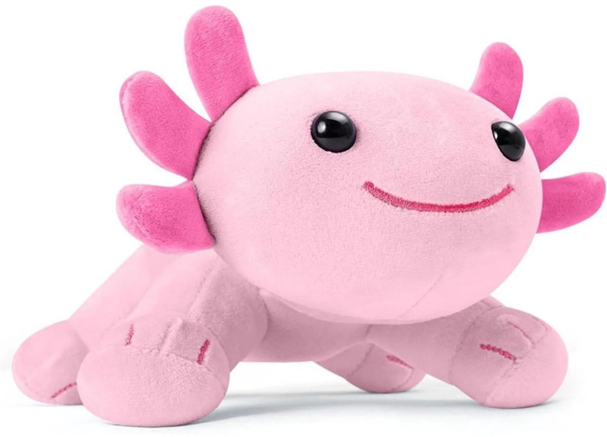 Casalora Pluche Knuffel – Schattige Salamander Knuffelr – Perfect Cadeau – 27cm – Roze