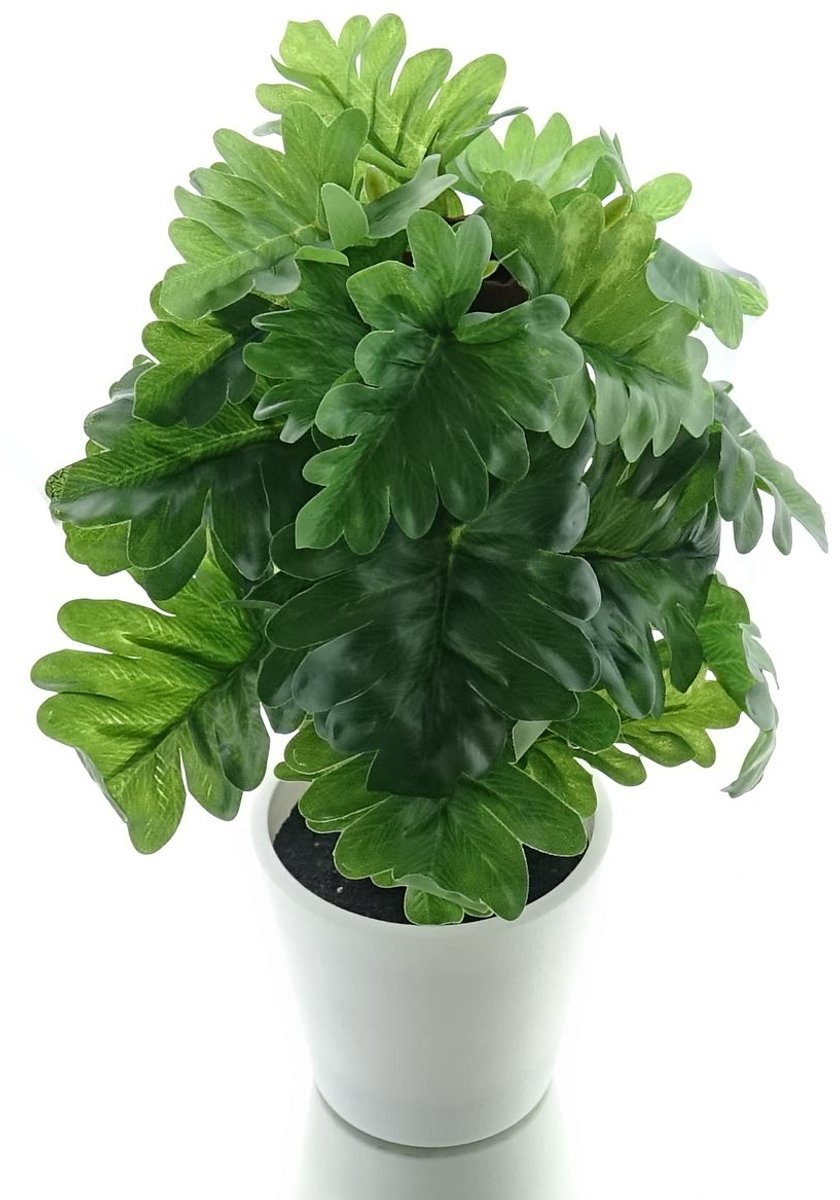 Gasper Monsteraplant met 24 Bladeren in Kunststofpot 24 cm