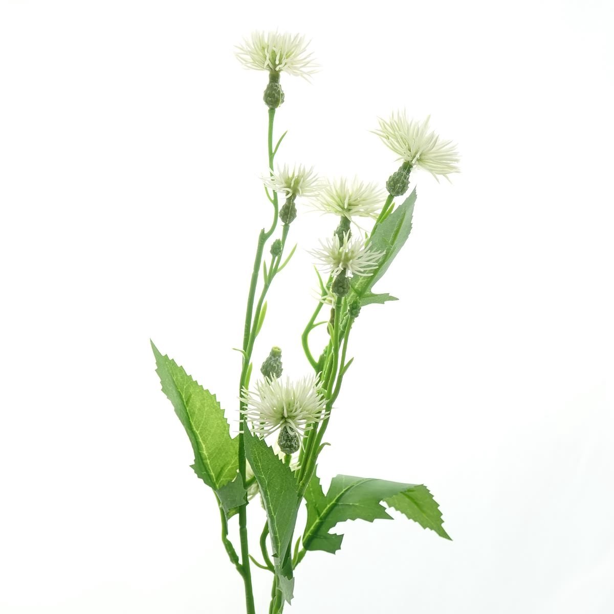 DPI Mini-Distels Creme ca. 55 cm - Kunstbloemen