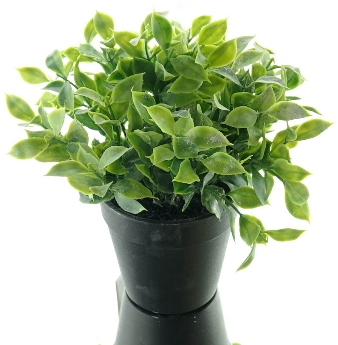 Gasper Ruscus Groen Brede Opbouw Zwarte Pot 20 cm - Kunstplant