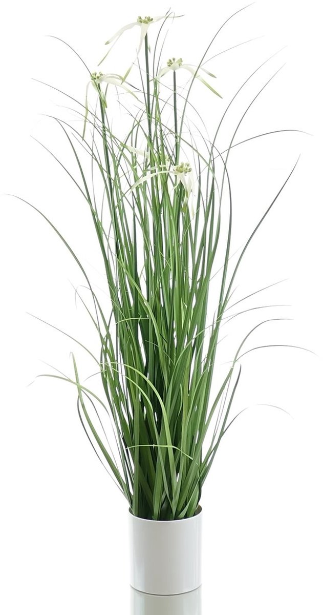 Gasper Sterrenzegge Wit Witte Melaminepot 82 cm - Kunstplant