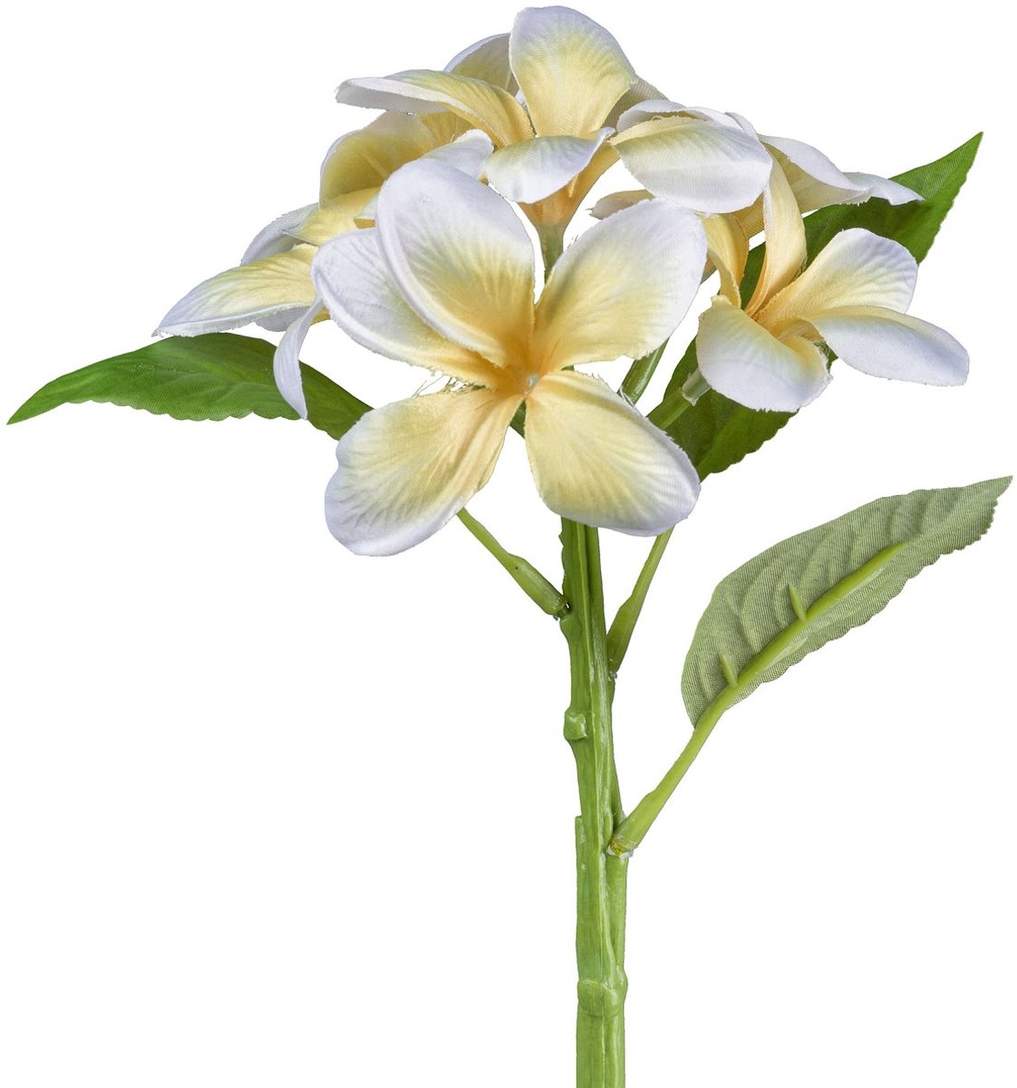 Gasper Frangipani Plumeria Geel en Wit 32 cm - Kunstbloemen