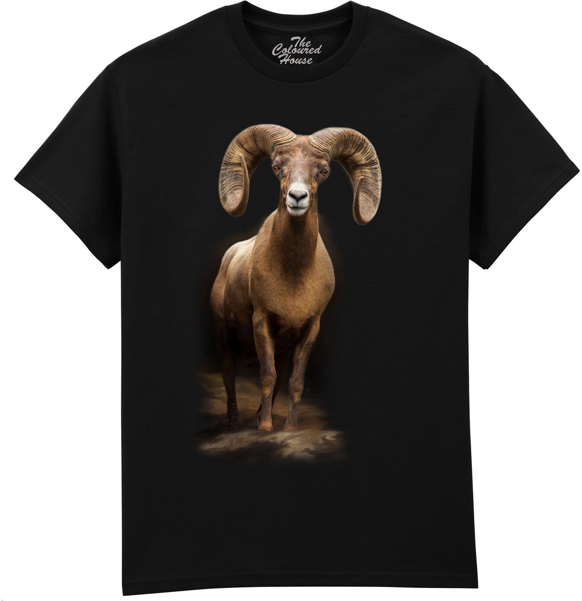 Dikhoorn Schaap High Mountain Patriarch The Coloured House T-shirt XL