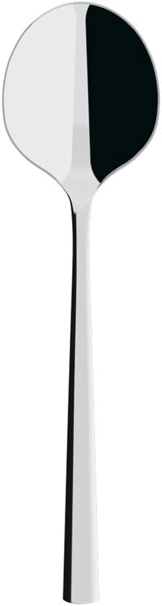 Opscheplepel - Saladelepel Compotelepel - Serveren van gerechten - Vaatwasserbestendig - 24 cm - Zilverkleurig