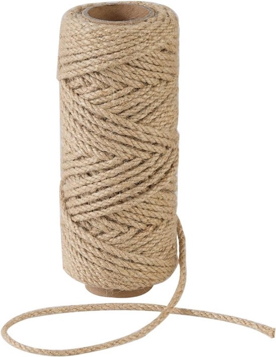 100 Voet Natuurlijk Jute Touw 4mm voor K束nst, Verpakking en Tuinieren