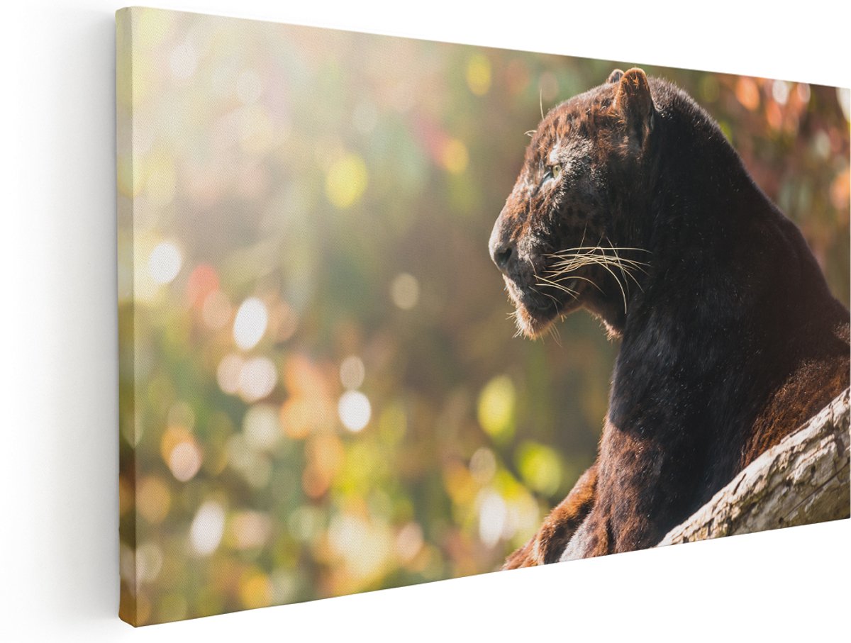 Artaza Canvas Schilderij Zwarte Panter Vanaf De Zijkant - 180x90 cm - Groot - Wanddecoratie Woonkamer - Schilderijen - Muurdecoratie