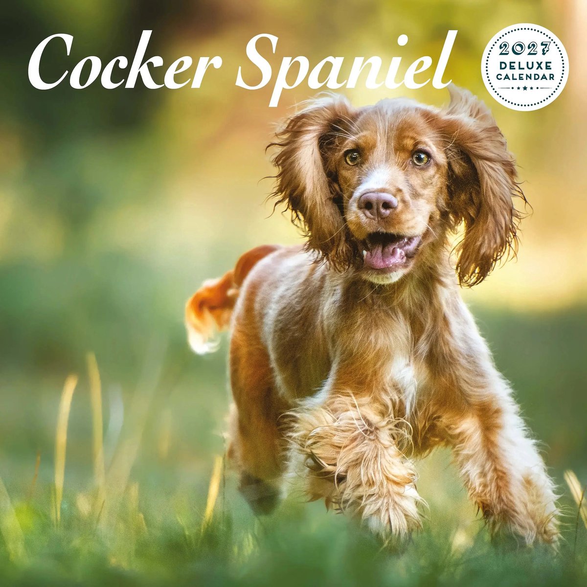 Engelse Cocker Spaniel Kalender 2027 Deluxe