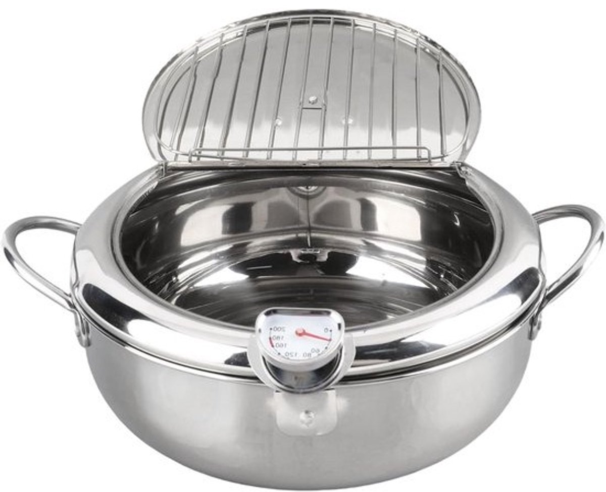 Frituurpan met Thermometer - Mini Friteuse - Thuis Frituren - Professionele Temperatuurcontrole - 24 cm - Zilver