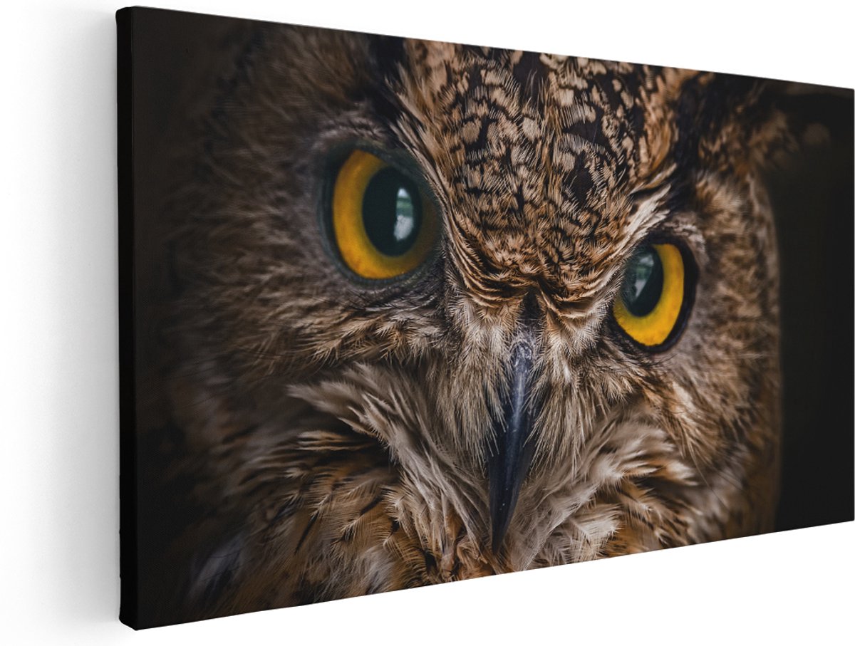 Artaza Canvas Schilderij Uilenkop Met Gele Ogen - Uil - 160x80 cm - Groot - Wanddecoratie Woonkamer - Schilderijen - Muurdecoratie