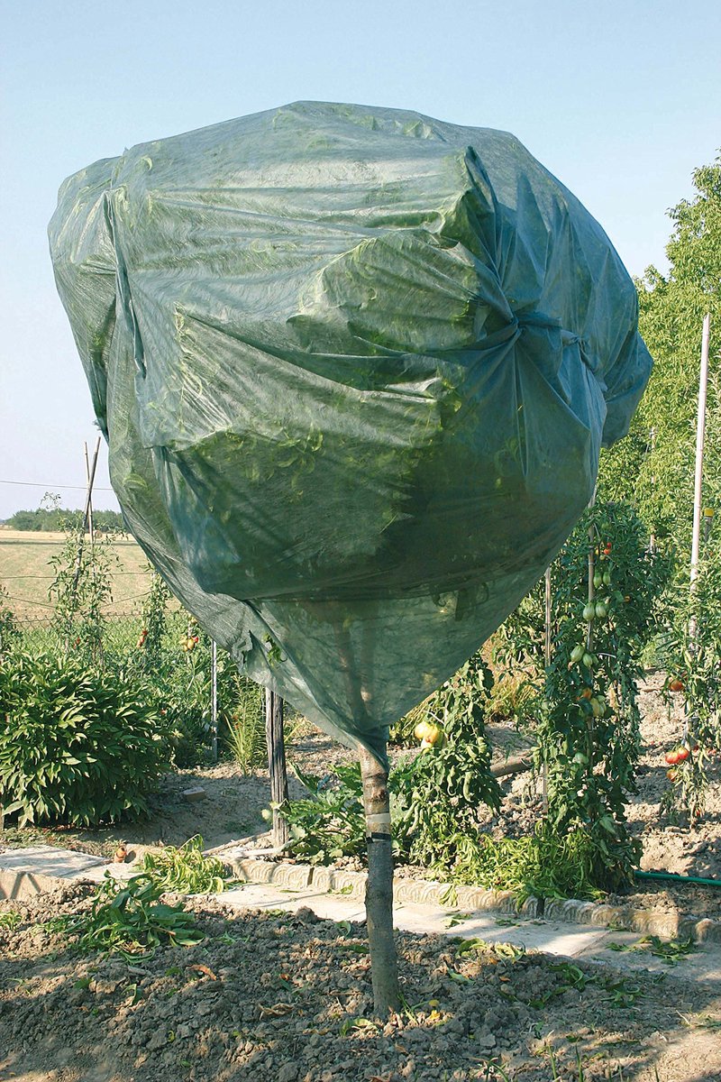 Verdemax m 1 x 1,6 niet-geweven stoffen kap (2 stuks inbegrepen) - ShopVlot