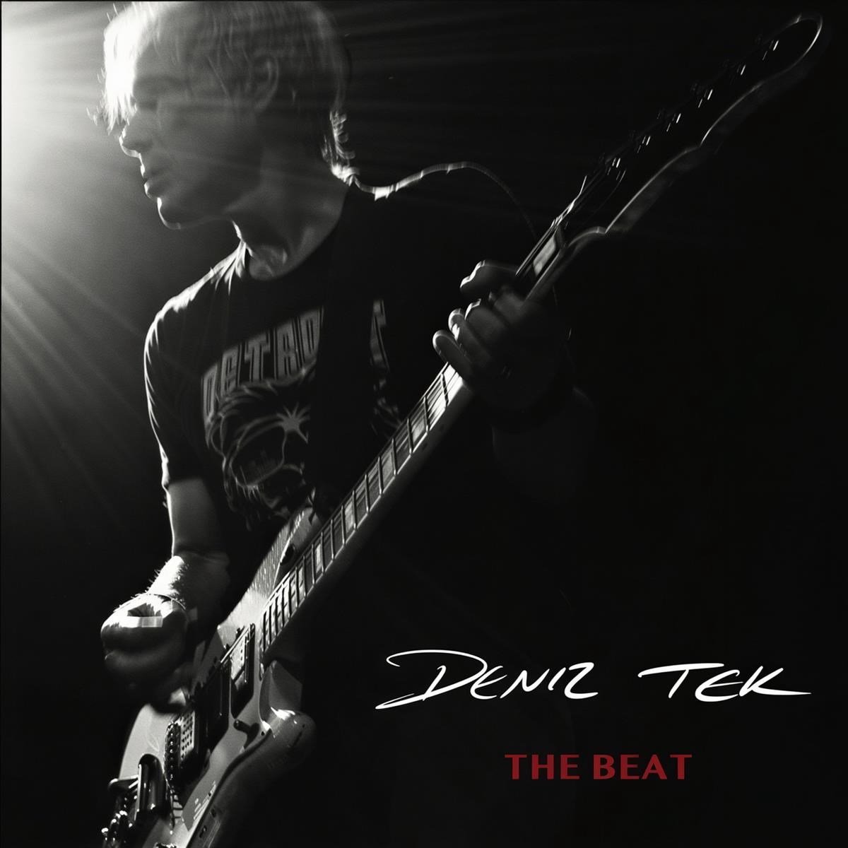 Deniz Tek - The Beat (LP)