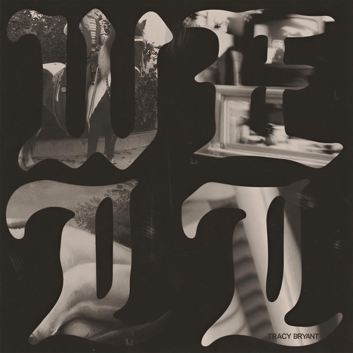 Tracy Bryant - The Well (LP)