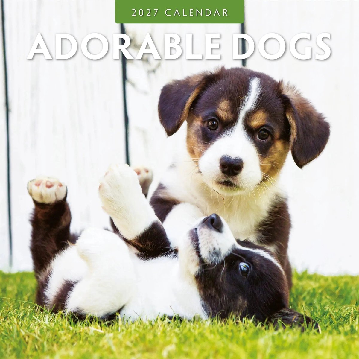 Adorable Dogs Kalender 2027