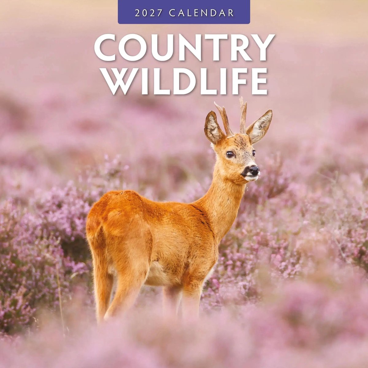 Country Wildlife Kalender 2027