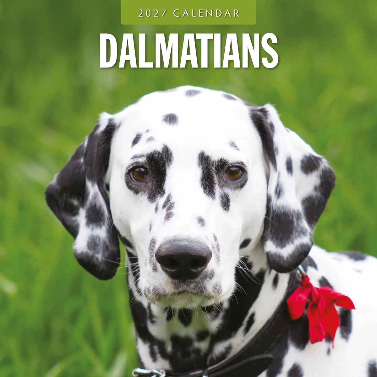 Dalmatier Kalender 2027