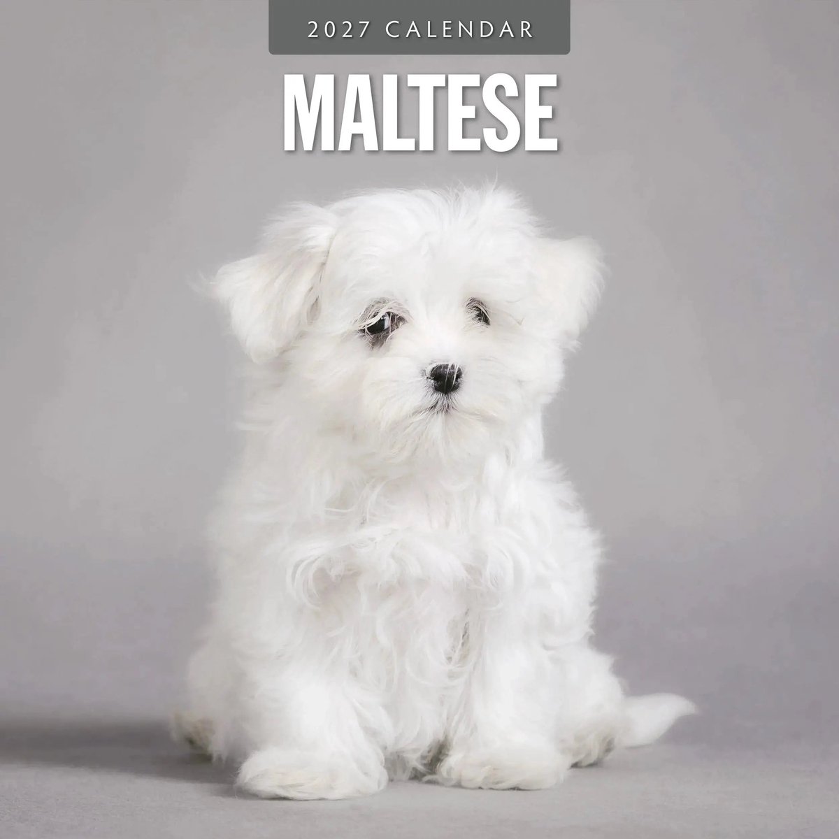 Maltezer Kalender 2027
