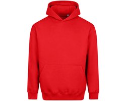Dikke Hoodie Just Hoods Vision