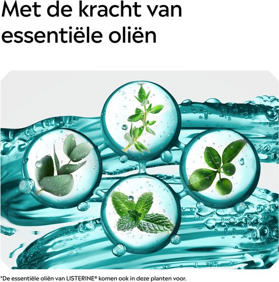 Visuele weergave van eucalyptus, tijm, munt en groene bladeren in waterdruppels, de kracht van essentiële oliën.