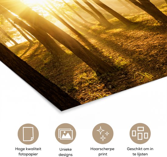 Le soleil d'automne se lève sur une forêt sombre Poster 120x80 cm - Tirage photo sur Poster (décoration murale salon / chambre)