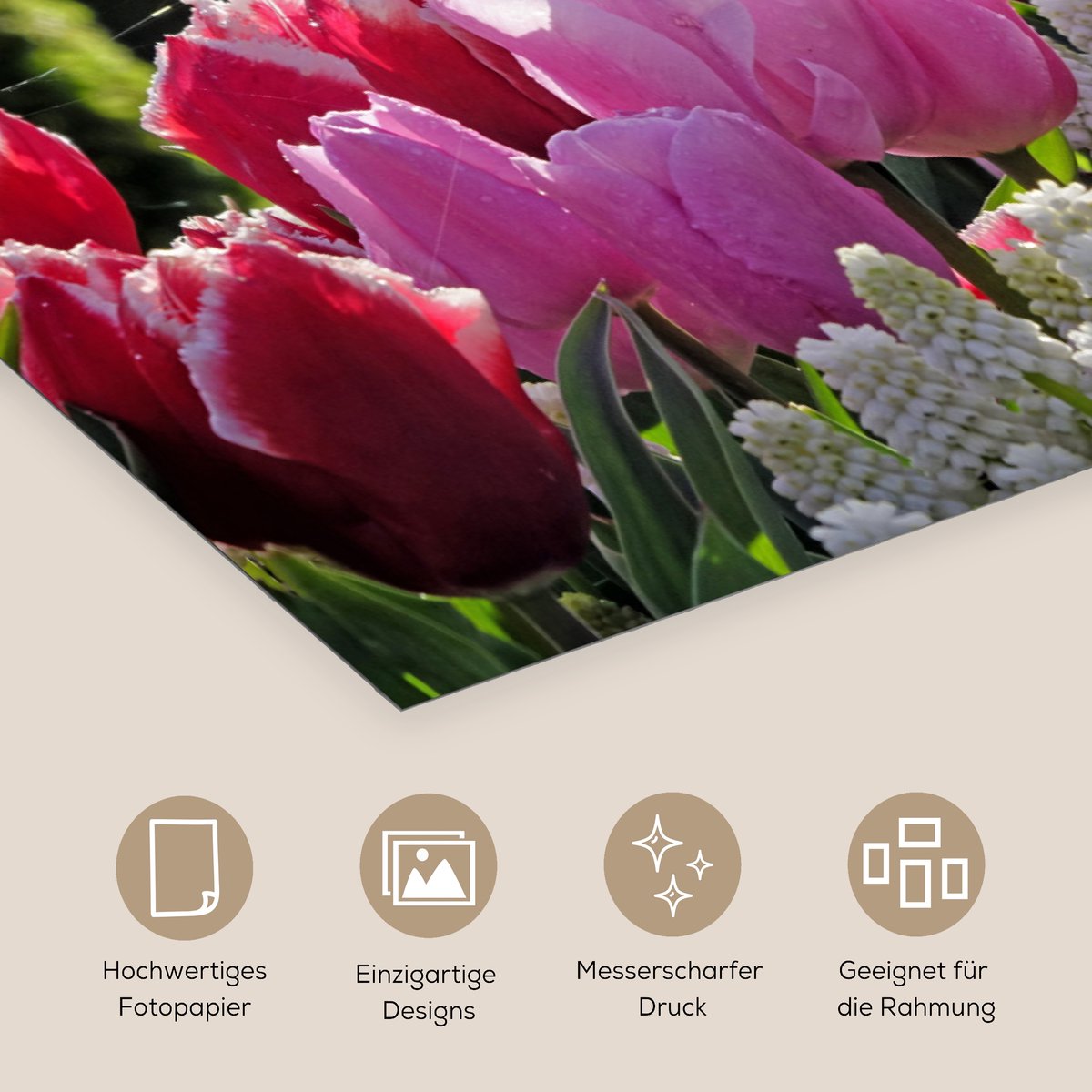 Poster 40x20 cm - Tulpen voor een fontein in de Keukenhof in Nederland - Posters - Kamer d