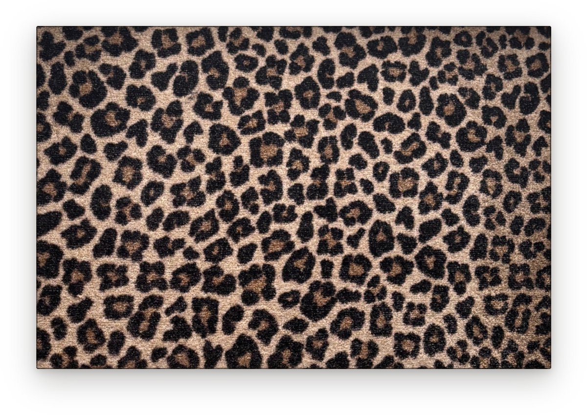 123deurmatten.nl Panterprint deurmat - 50x75cm - Schoonloopmat - Droogloopmat - Deurmat binnen - Wasbaar - Voor binnen Bruin