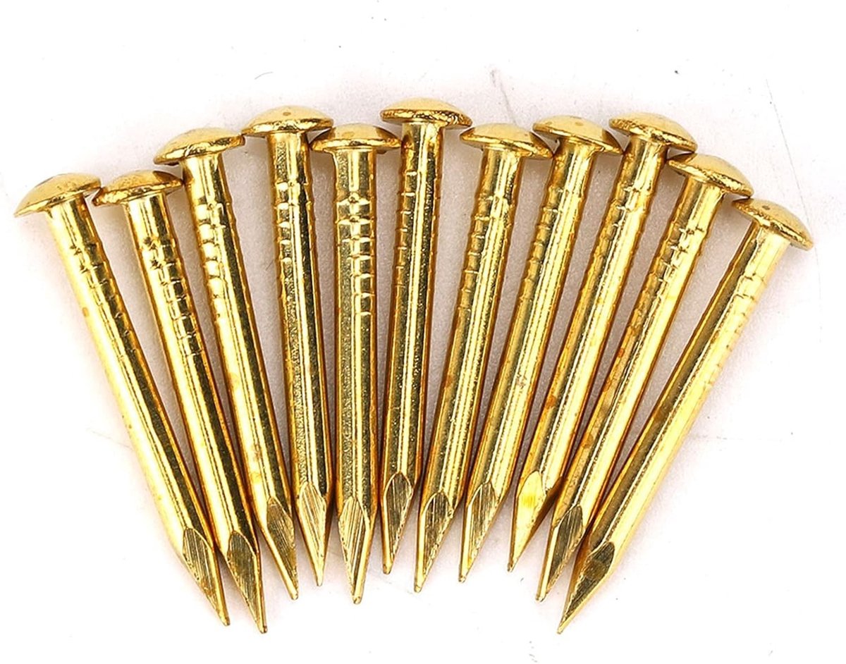 Gouden Messing Spijkers, 100 Stuks Ronde Kop Spijkers voor Meubelaccessoires, 20mm en 15mm Lengte, Perfect voor Houtbewerking en Doe-Het-Zelf Projecten