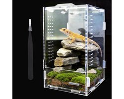Inovra- Reptielenbox 360° - Acryl Terrarium 20x12x12 cm - Inclusief Tang/Thermometer - Transparant/Ademend - Geschikt voor Hagedissen/Spinnen