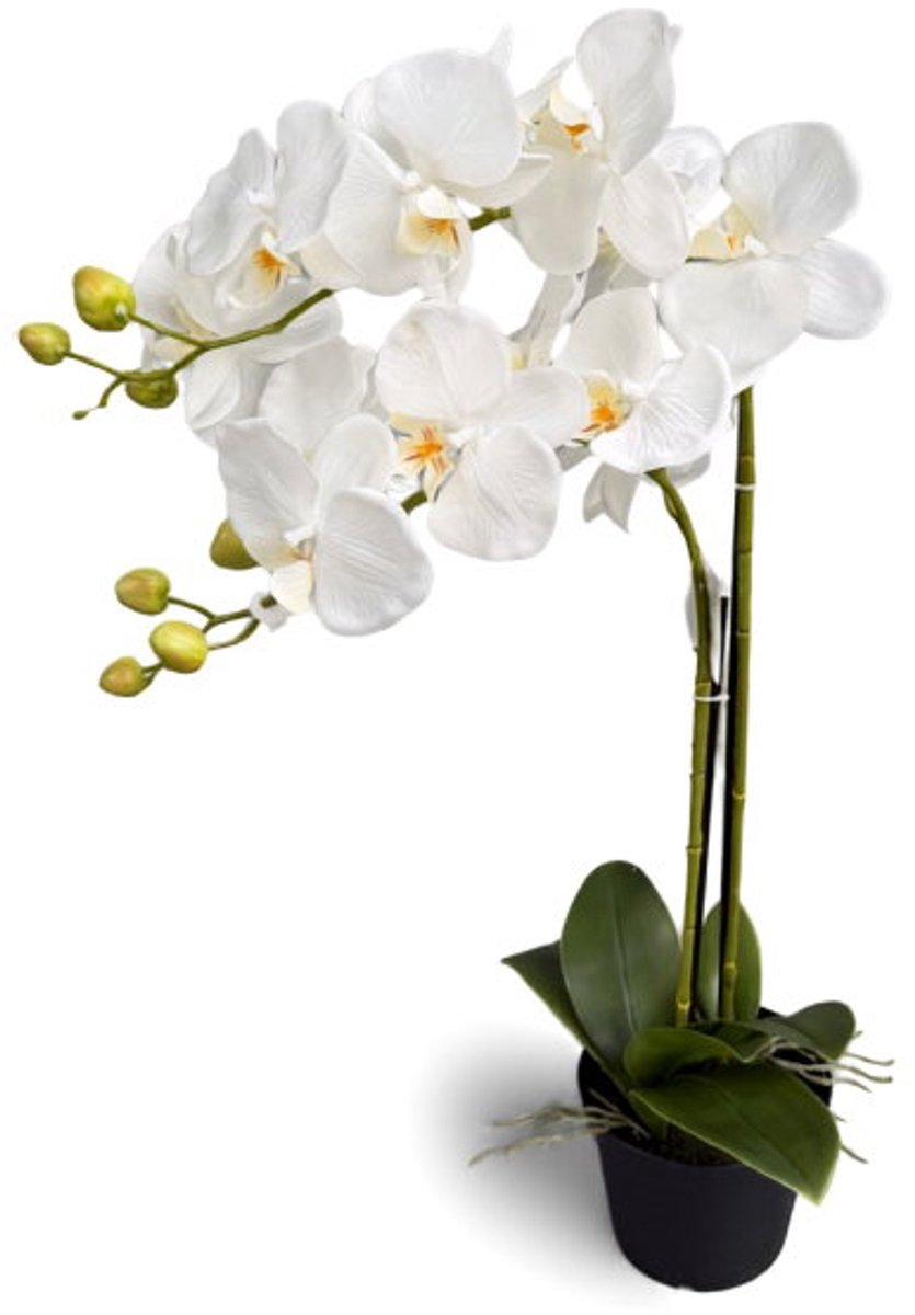 Orchidee wit in pot H 63 cm kunstplant Oosterik Home