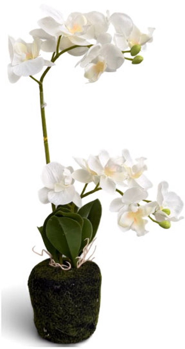 Orchidee wit in pot H 38 cm kunstplant Oosterik Home